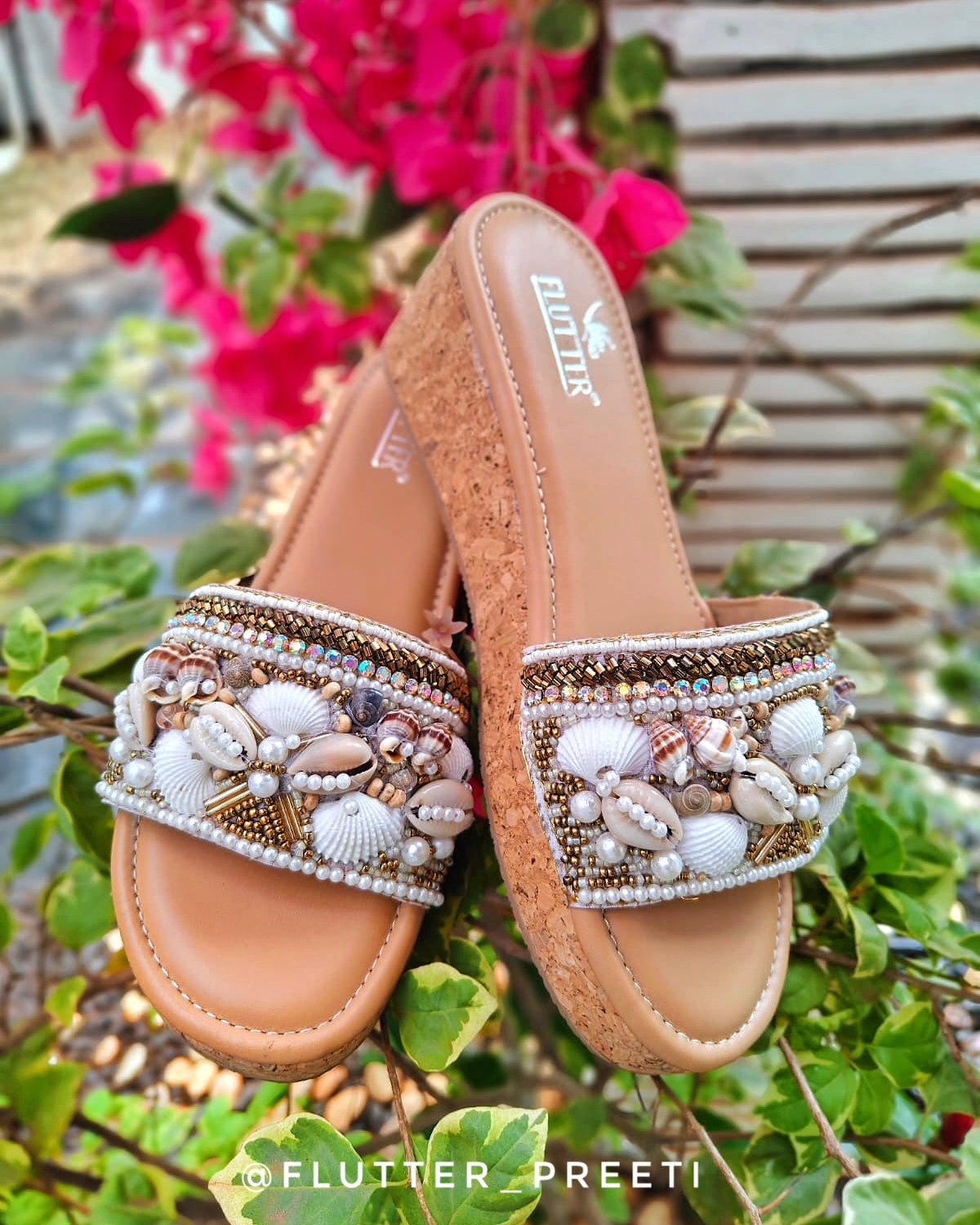 Treasure-Shell wedges